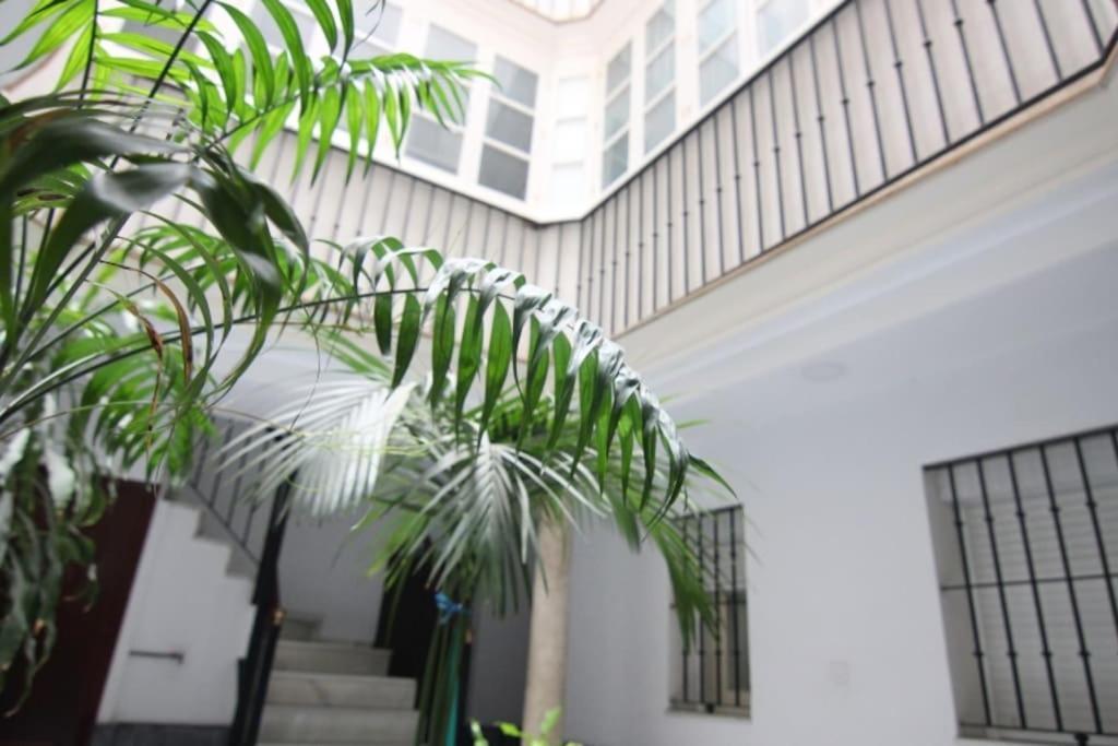 Apartamento Feduchy 10 Min De La Playa 2 Banos Cádiz Eksteriør billede